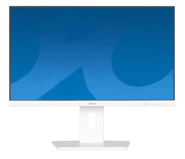 IIYAMA ProLite XUB2497HSU-W2 - 1284775 - zdjęcie
